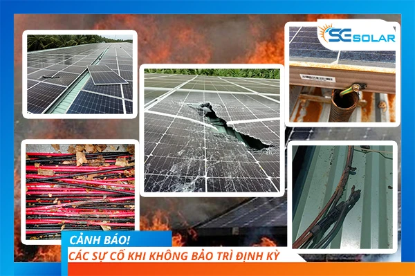 Dịch vụ bảo trì 